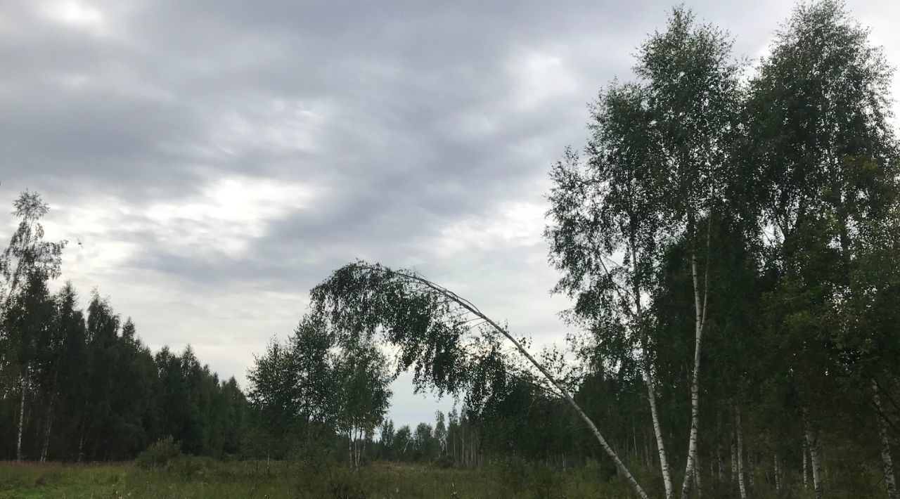 земля р-н Кимрский с/п Центральное д Скулино 1А фото 3