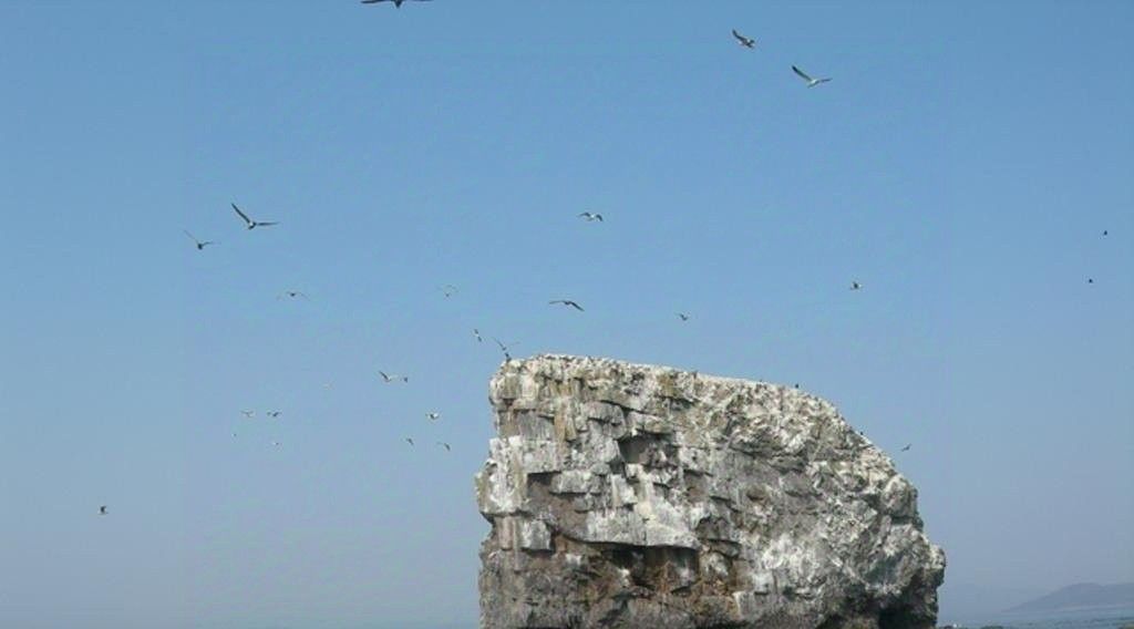 комната р-н Хасанский пгт Славянка б-р Морской фото 7