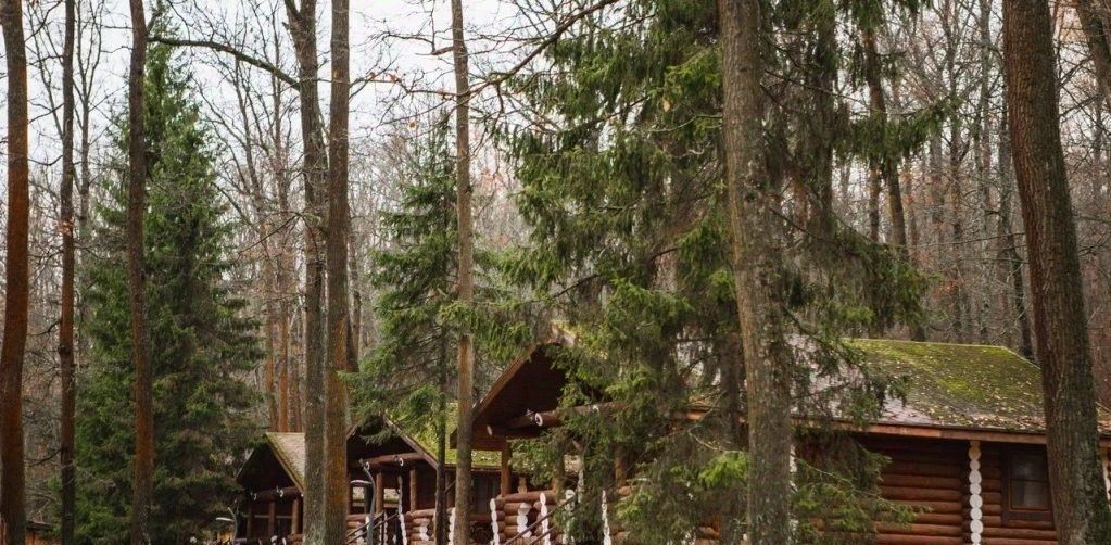 комната р-н Веневский п Осетровское Лесничество Центральное муниципальное образование фото 1