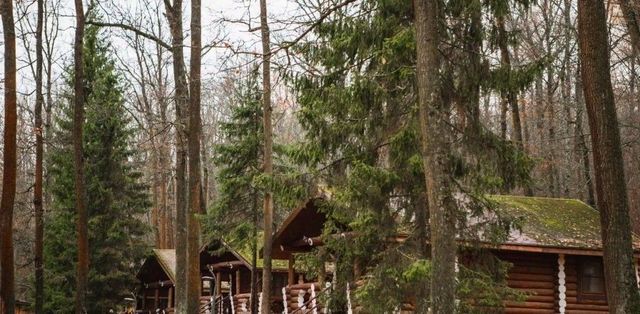 р-н Веневский п Осетровское Лесничество Центральное муниципальное образование фото