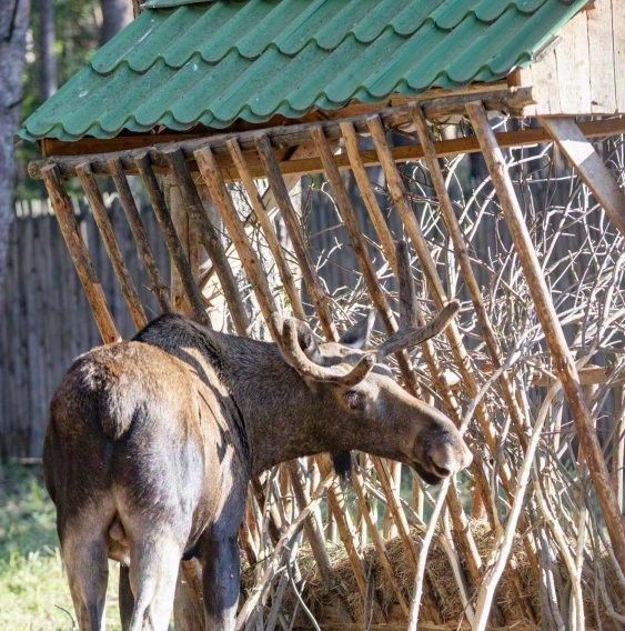 комната р-н Волжский с Курумоч ул Садовая 100а фото 50