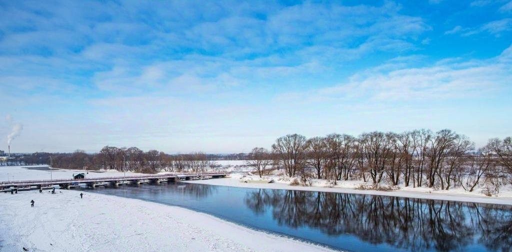 комната г Коломна Старая Коломна пер Водовозный 12 фото 4