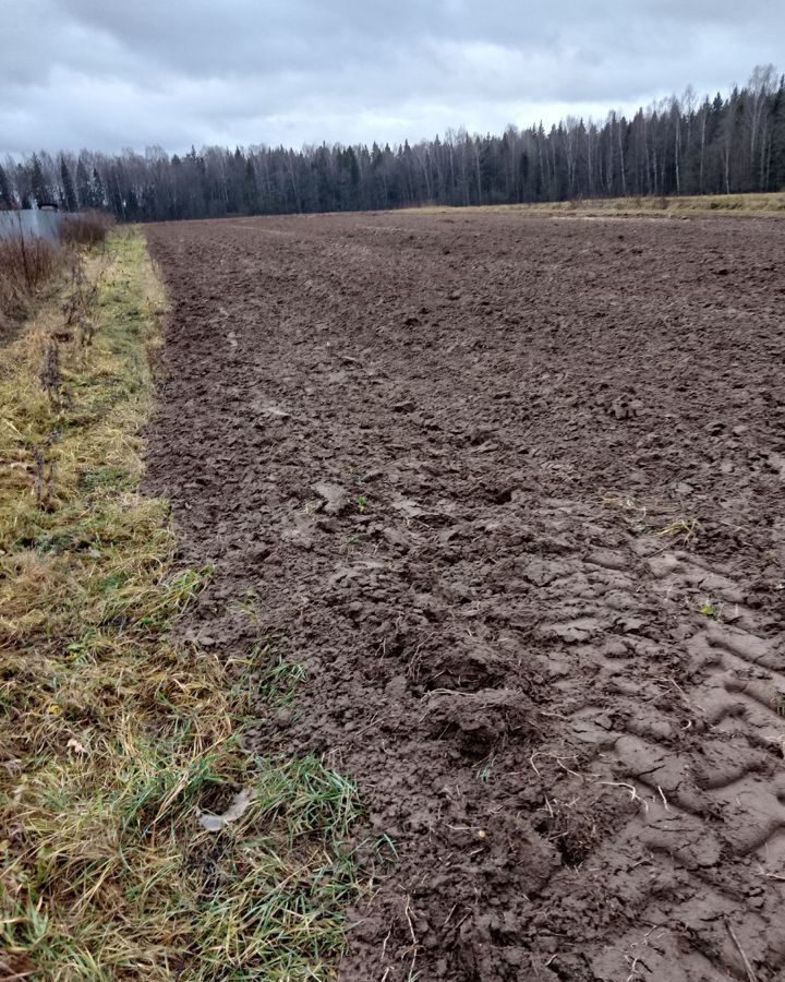 земля р-н Ярославский д Мордвиново Курбское сельское поселение, Ярославль фото 1