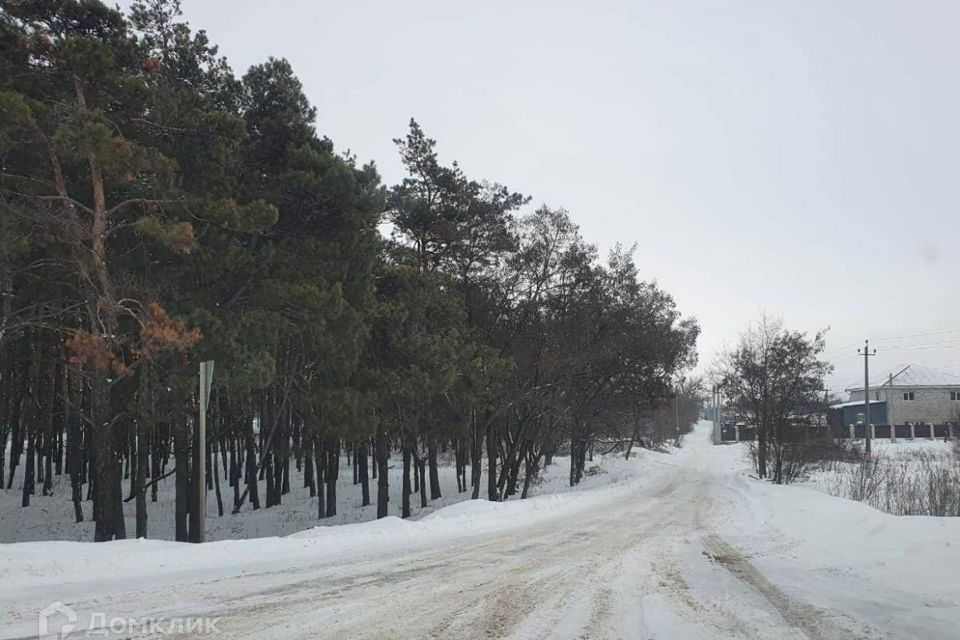 земля р-н Курский снт тер.Тускарь 50А фото 1