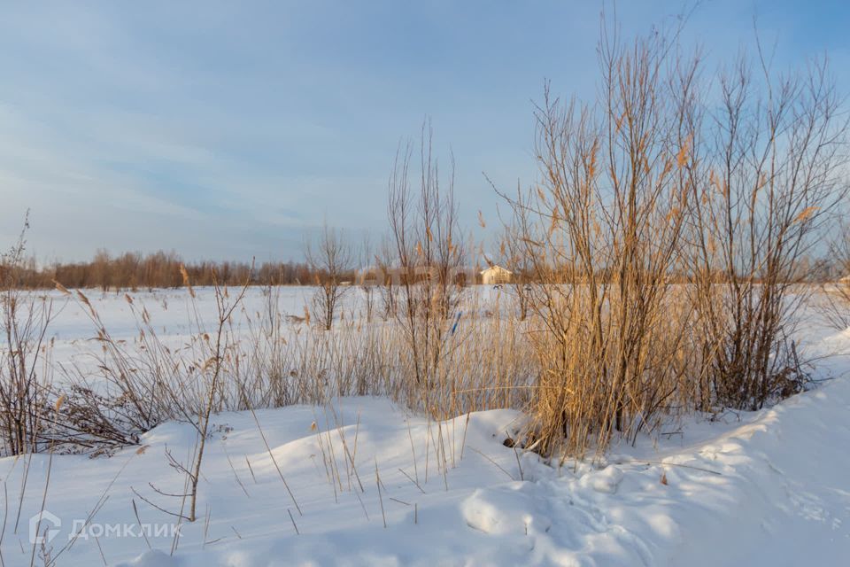 земля г Хабаровск ш Матвеевское городской округ Хабаровск фото 4