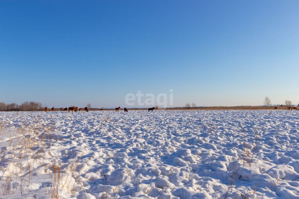 земля г Хабаровск ш Матвеевское городской округ Хабаровск фото 4