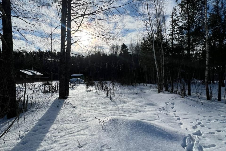 земля г Брянск ул Антоновка 100 городской округ Брянск фото 3