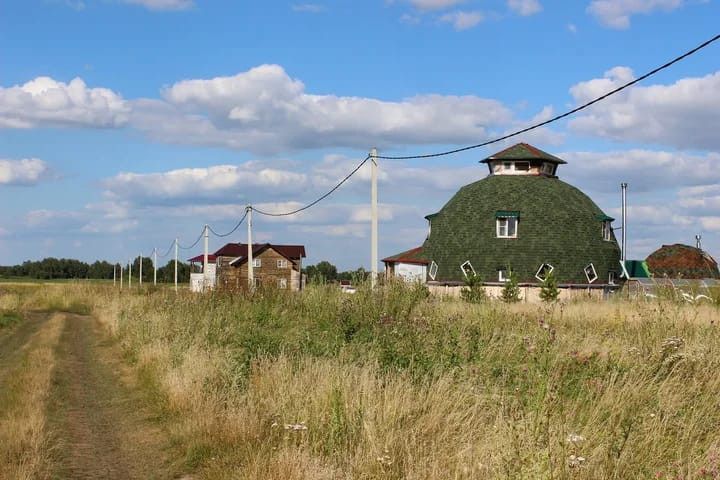 земля р-н Новосибирский деревня Алексеевка фото 3