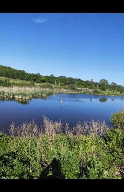 земля р-н Уфимский село Дмитриевка фото 5