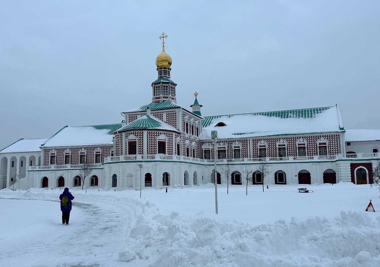 земля городской округ Истра д Сафонтьево Истра фото 18