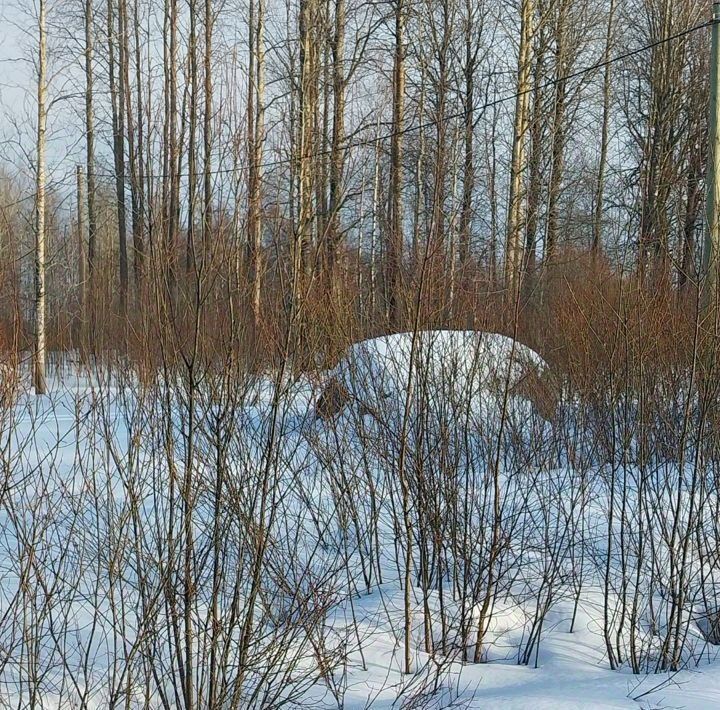 земля р-н Выборгский г Выборг р-н Сайменский фото 4