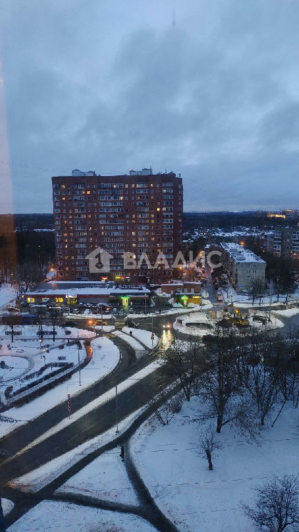 квартира городской округ Истра д Троица г. Полковника милиции Курочкина ул., 5 фото 20