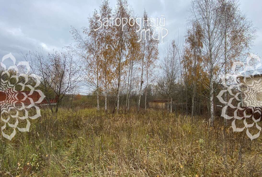 земля городской округ Раменский д Становое д. 124, Новорязанское фото 7