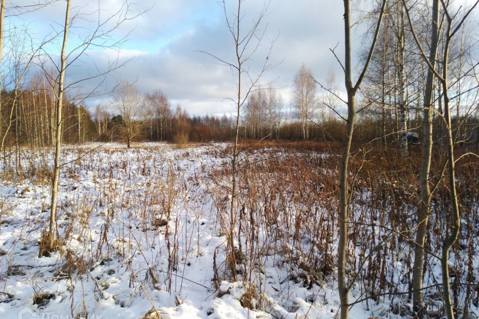 земля р-н Всеволожский Рахьинское городское поселение фото 3