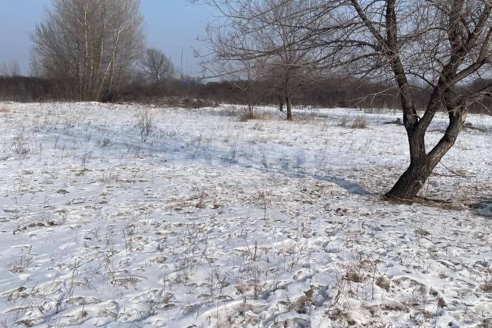 земля городской округ Абакан, СОСН Подсинее-Сирень, улица Энтузиастов, 93 фото 1