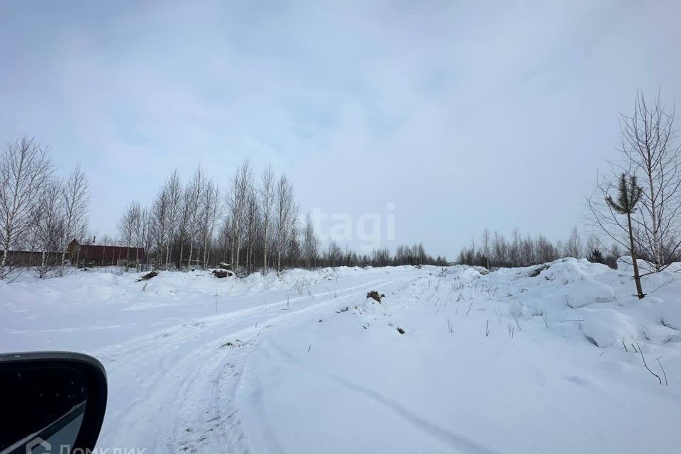 земля городской округ Йошкар-Ола, деревня Шоя-Кузнецово фото 3