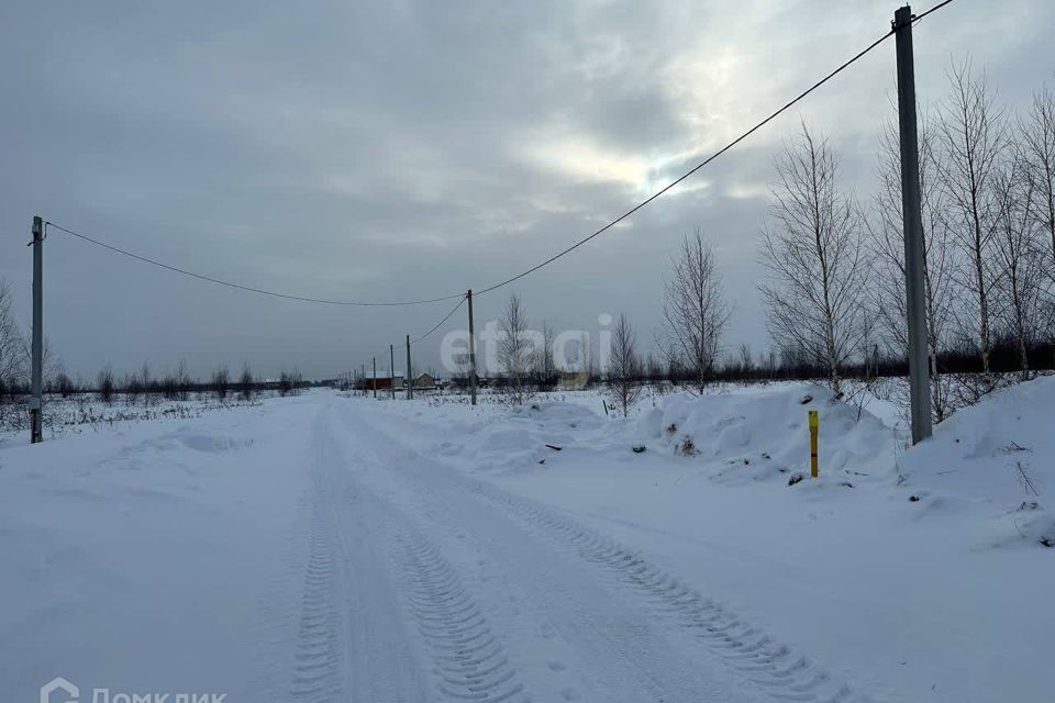 земля городской округ Йошкар-Ола, деревня Шоя-Кузнецово фото 5