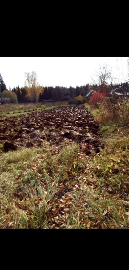 земля г Краснокамск д Фадеята ул Родниковая п Майский фото 4