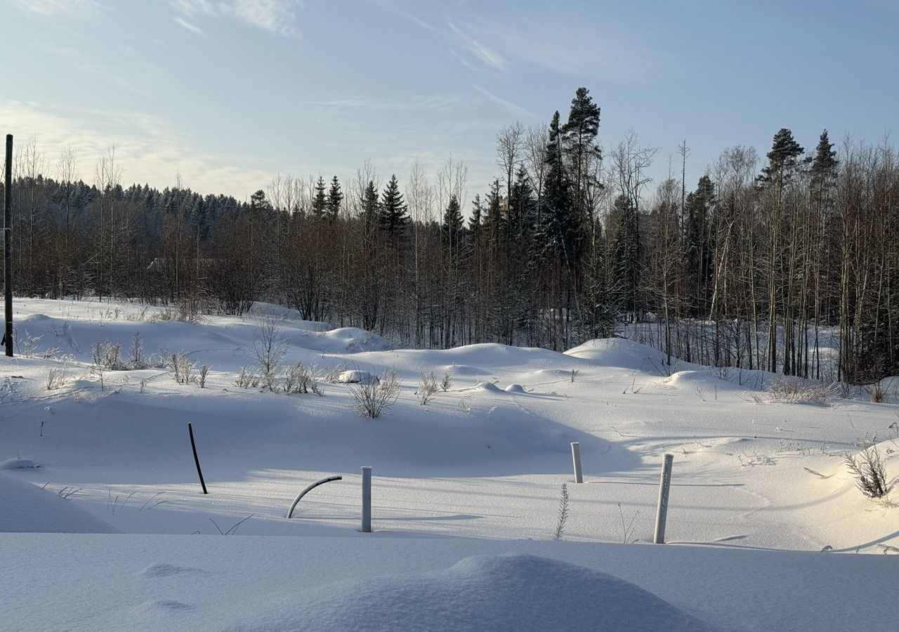 земля г Петрозаводск р-н Сайнаволок пер 2-й Сайнаволокский 14 фото 1