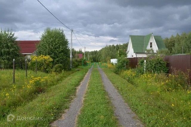 земля городской округ Тобольск фото