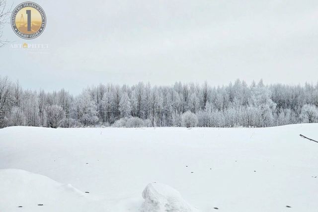 деревня Ирдоматка фото