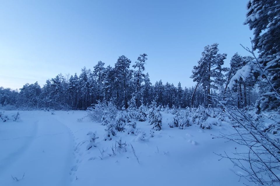 земля у Мегино-Кангаласский улус, Республика Саха Якутия, посёлок городского типа Нижний Бестях фото 2