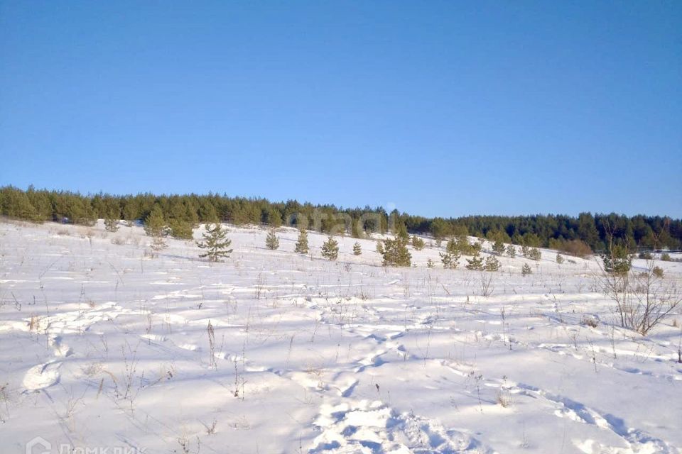 земля р-н Тереньгульский с Подкуровка ул Совхозная 2 фото 3