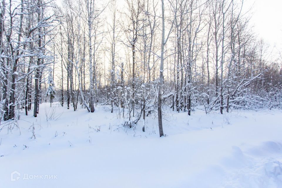 земля г Тобольск Центральная улица, городской округ Тобольск фото 5