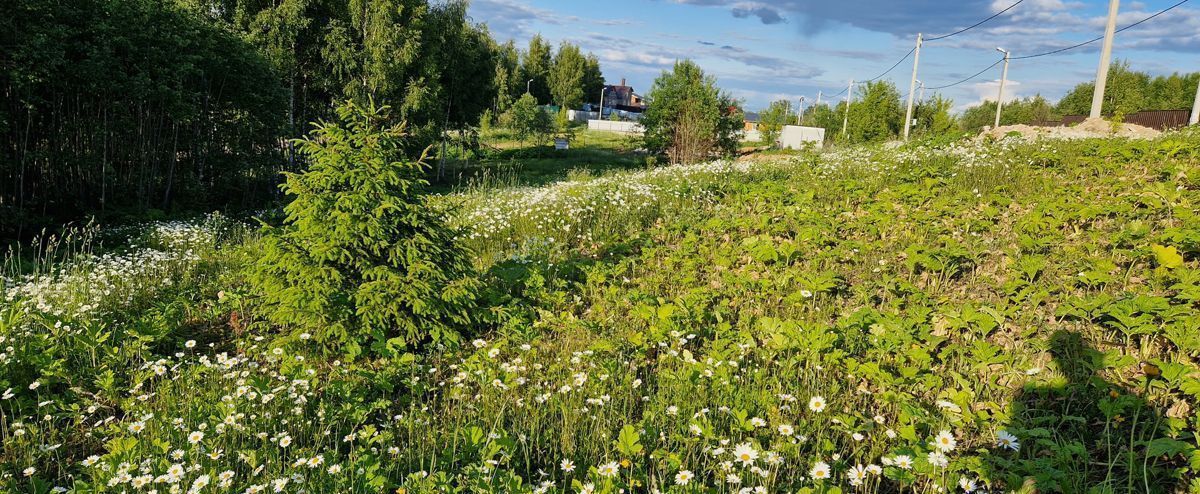 земля городской округ Истра с Новопетровское коттеджный пос. Рига Фэмили, г. о. Истра фото 1