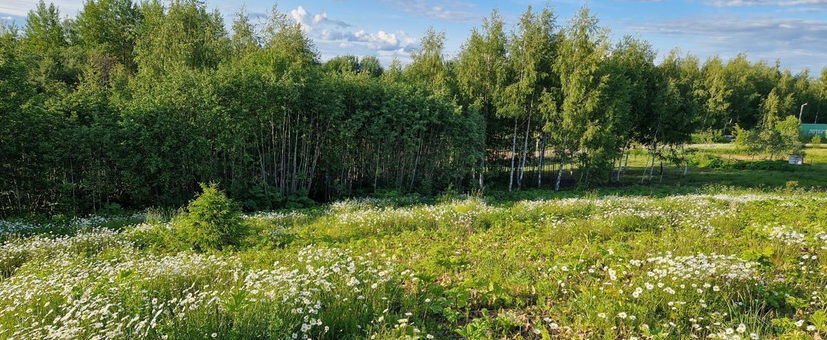 земля городской округ Истра с Новопетровское коттеджный пос. Рига Фэмили, г. о. Истра фото 5