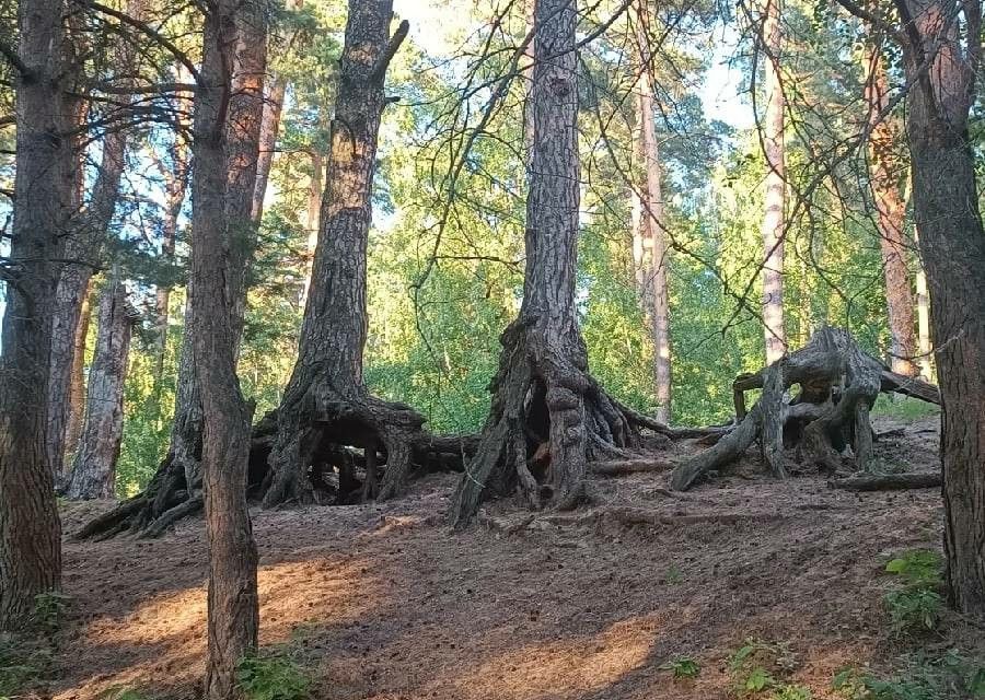 земля г Рязань ул Новая городской округ Рязань фото 4