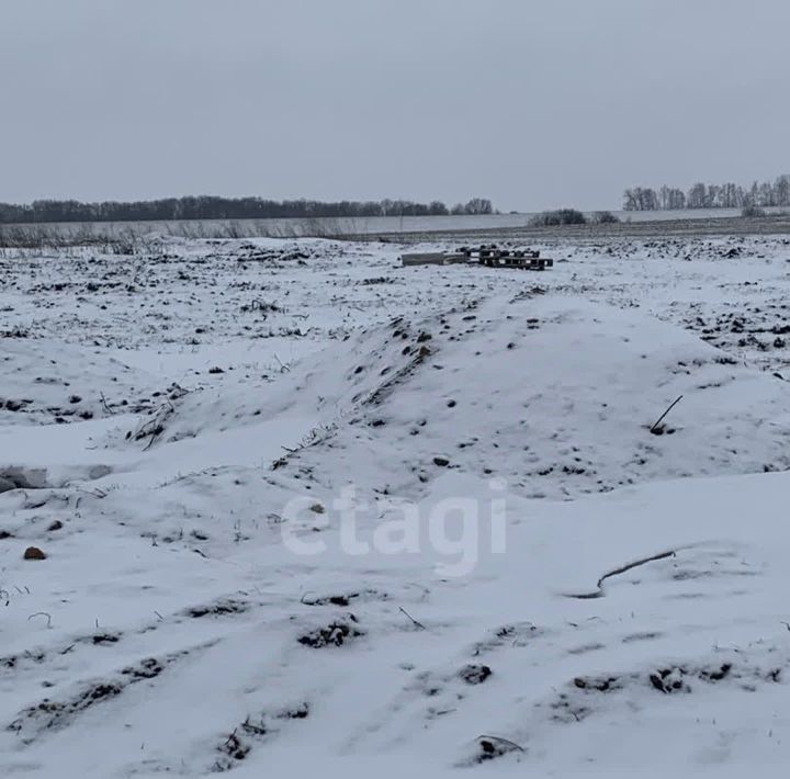 земля р-н Белгородский с Головино с пос, Головинское фото 1