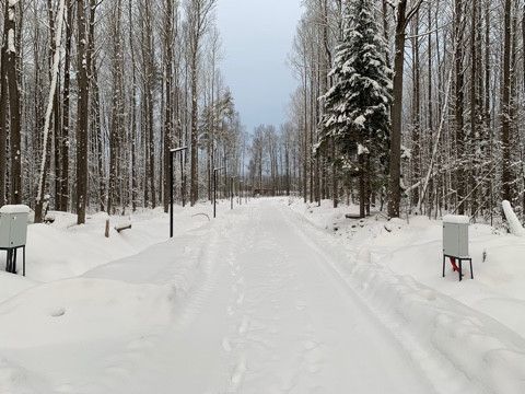 земля р-н Выборгский коттеджный посёлок Репиноф фото 8