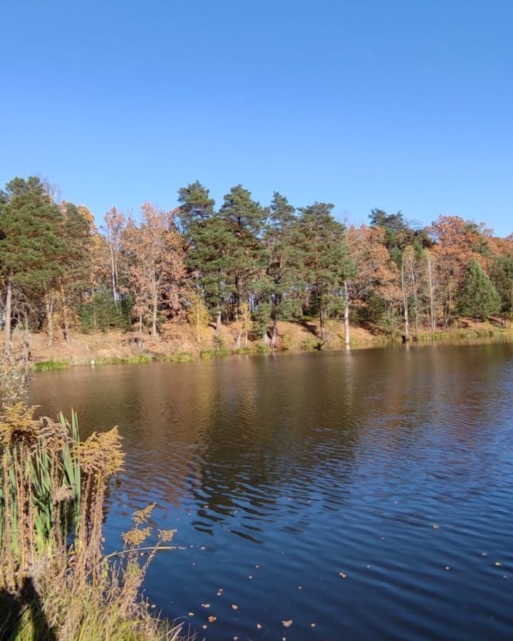 дом р-н Дмитровский п Костобобровка Дмитровск фото 5