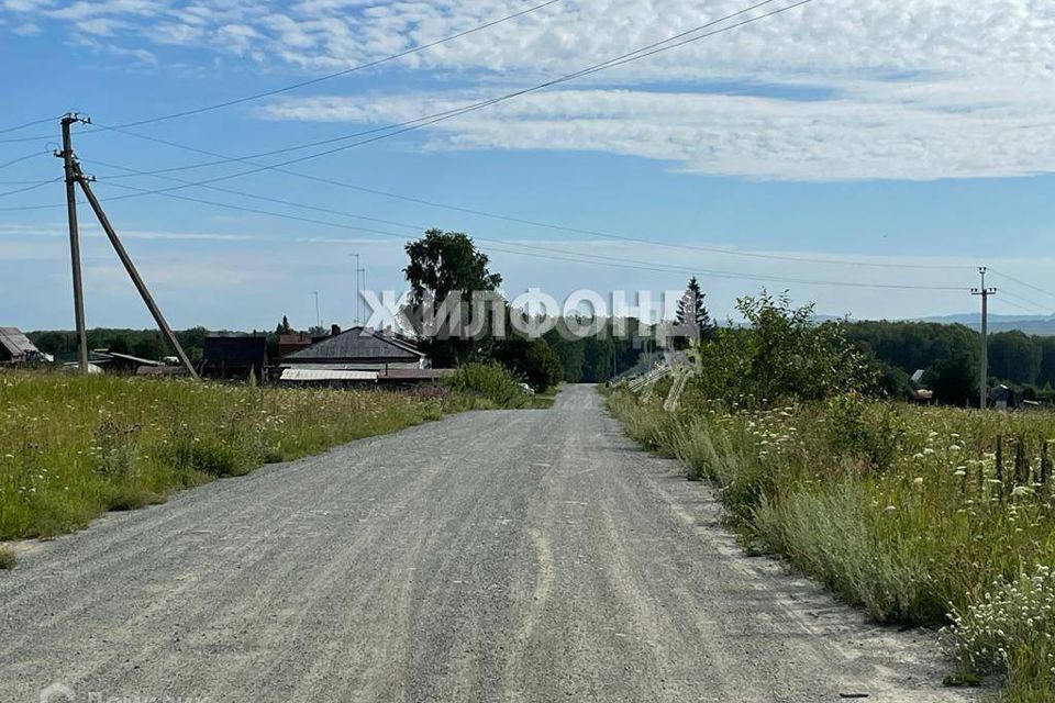 земля р-н Черепановский с Листвянка ул Мира фото 1