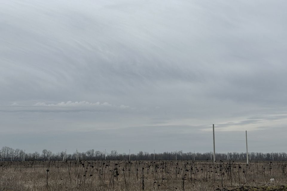 земля р-н Аксайский п Щепкин ул Благодатная 16/1 фото 2