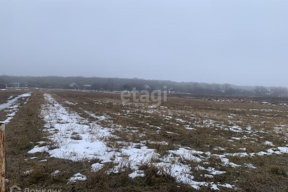 земля р-н Яковлевский хутор Каменский фото 3