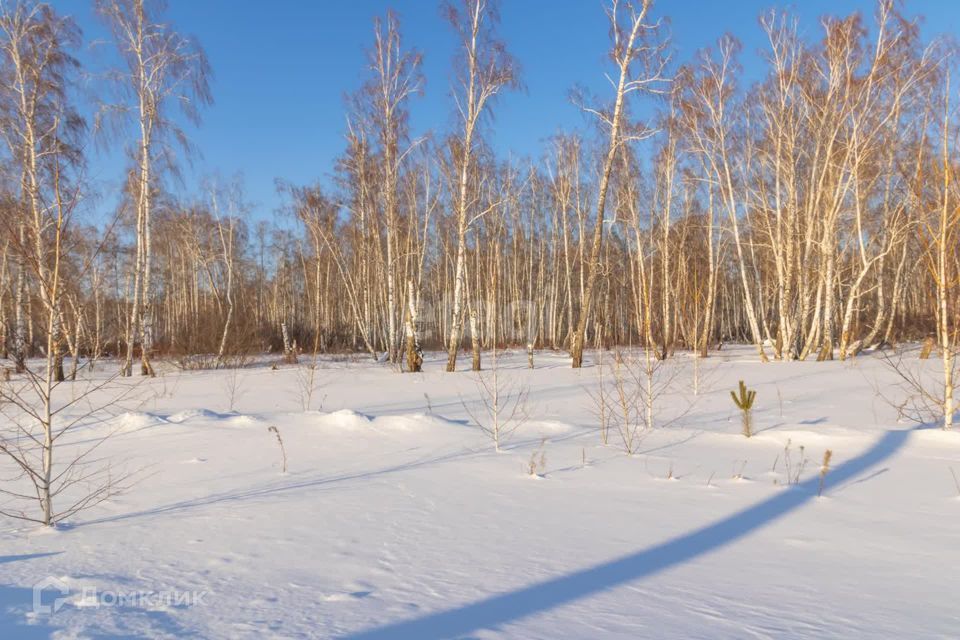 земля р-н Красноармейский с Харино ул Юбилейная фото 8