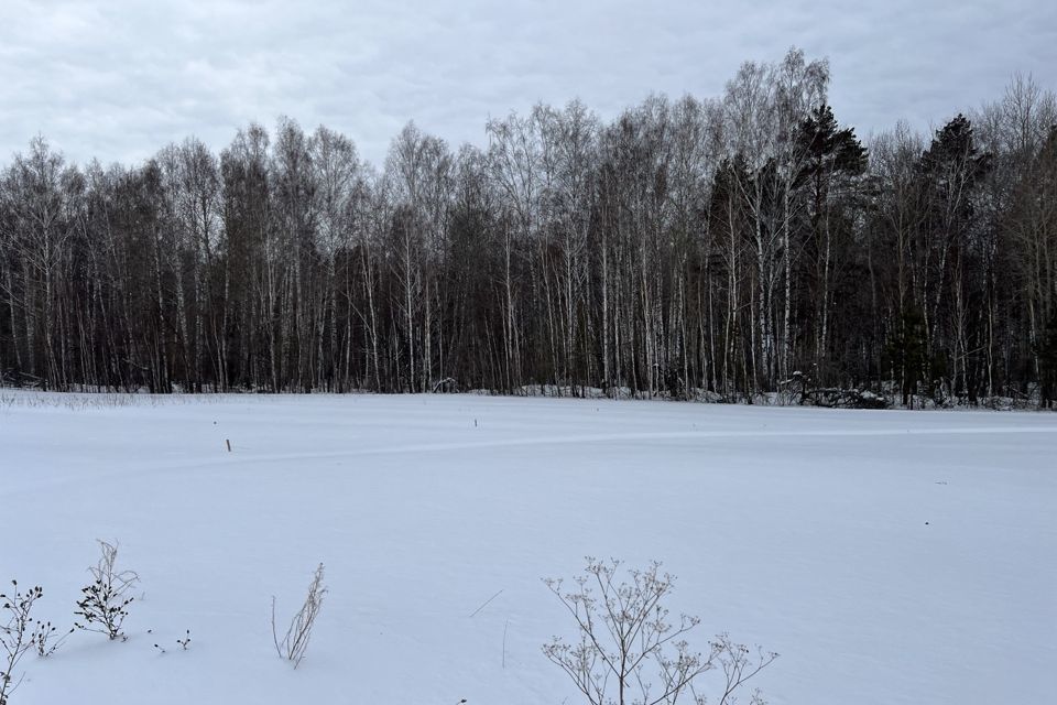 земля р-н Тюменский село Кулига фото 5