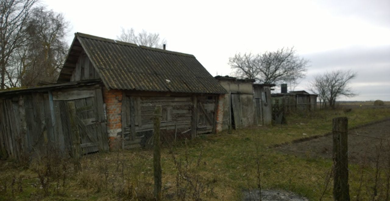 дом р-н Клинцовский п Вьюнки Коржовоголубовское сельское поселение, Клинцы, д. Вьюнка фото 7