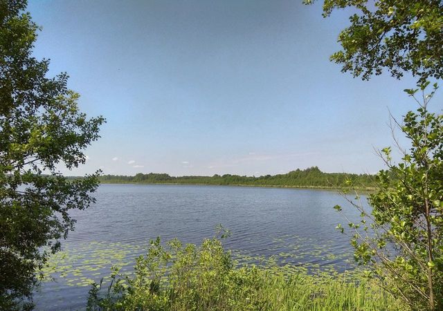 Секуй, Великолукский р-н, Великие Луки фото