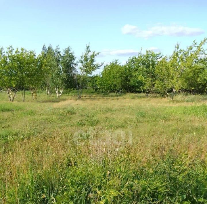 земля р-н Ульяновский д Дубровка Ишеевское городское поселение фото 5