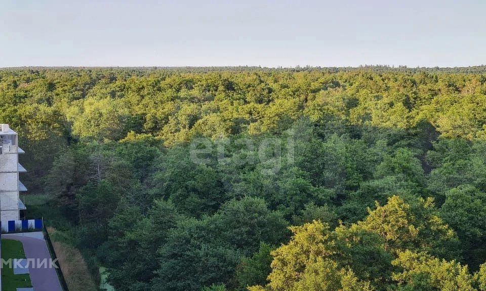 квартира р-н Зеленоградский г Зеленоградск ул Большая Окружная 2б фото 10