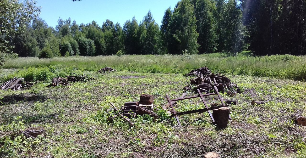 земля р-н Комсомольский д Окулово Подозёрское сельское поселение, Ярославская область, Бурмакино фото 5