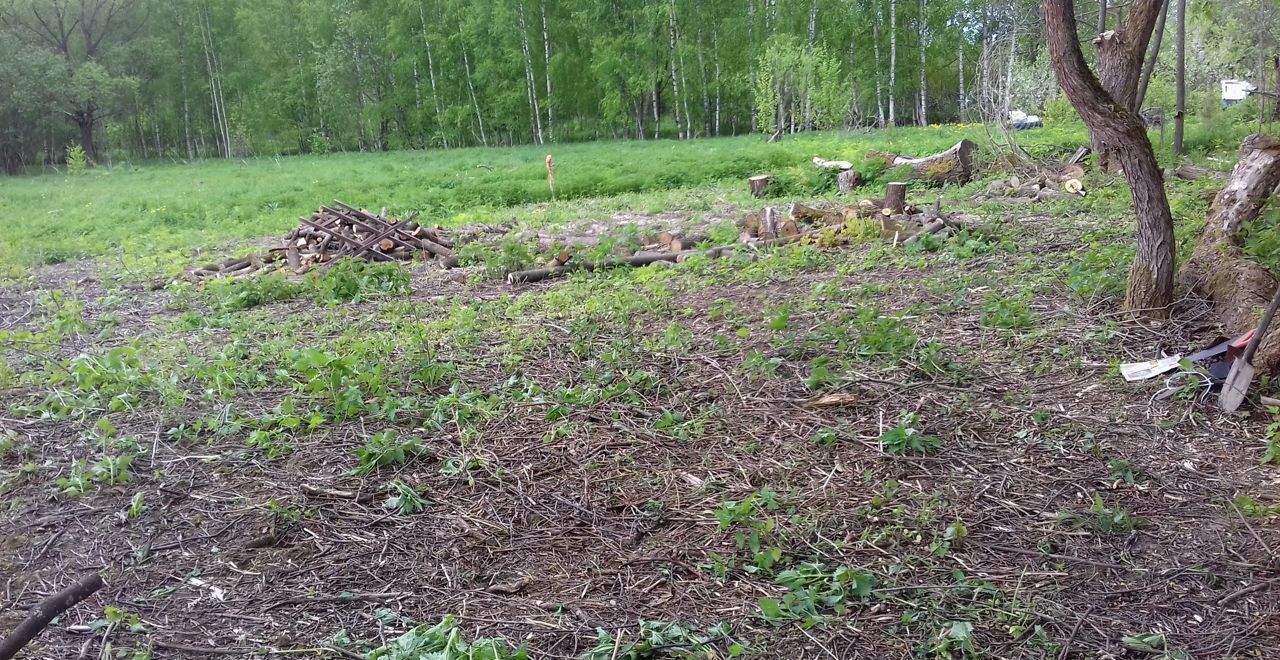 земля р-н Комсомольский д Окулово Подозёрское сельское поселение, Ярославская область, Бурмакино фото 7