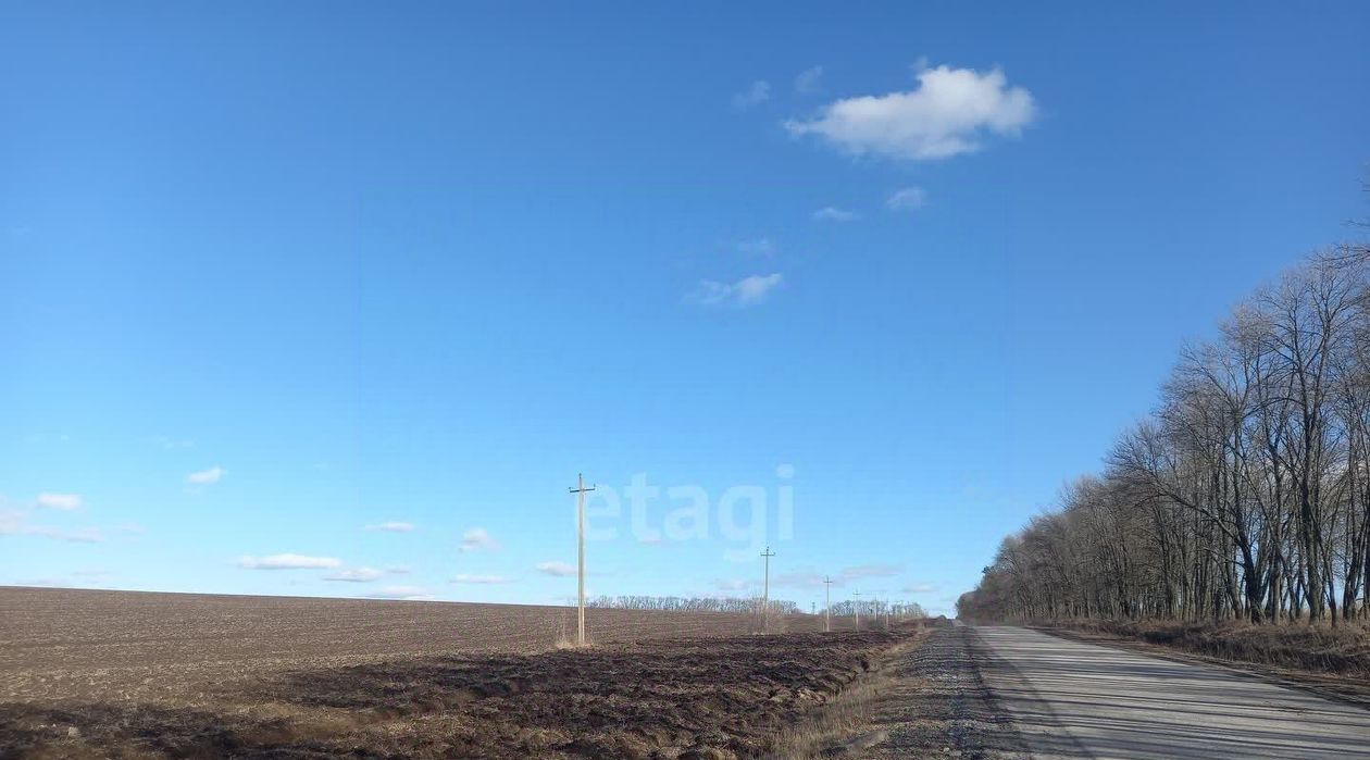 офис городской округ Шебекинский п Батрацкая Дача ул Центральная фото 4