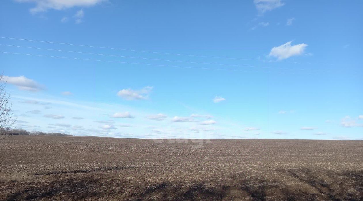 офис городской округ Шебекинский п Батрацкая Дача ул Центральная фото 5