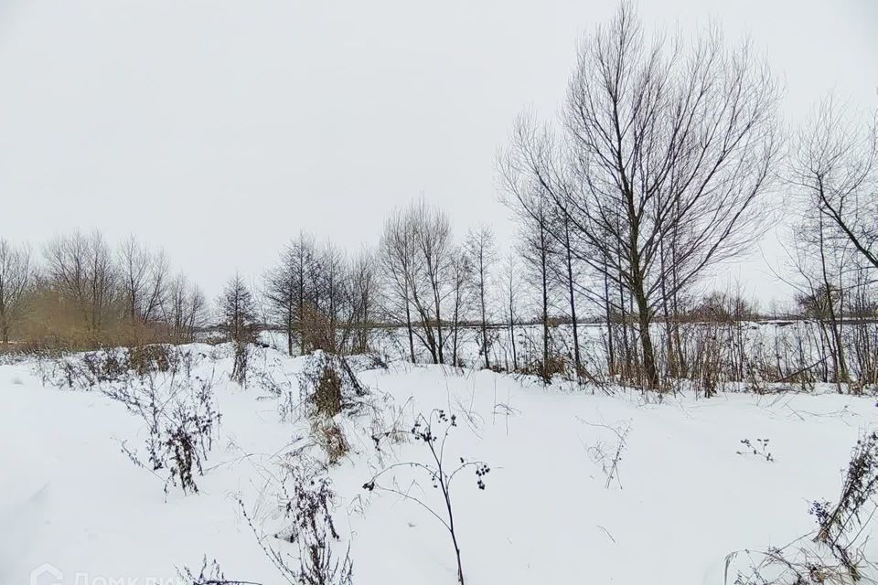 земля городской округ Воскресенск территория Сосновый бор фото 7