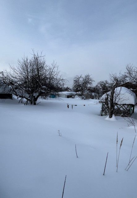 земля г Казань городской округ Казань, садоводческое некоммерческое товарищество Сирень фото 6