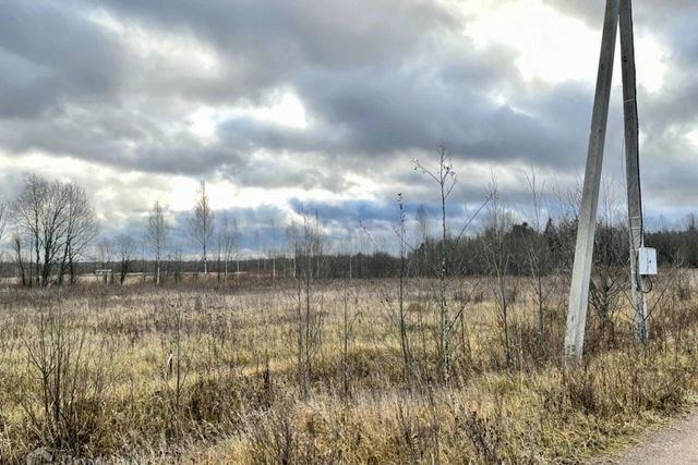 земля садово-огородническое товарищество Раглицы фото